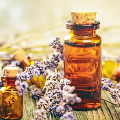 Top 9 Fish & Botanical Oil To Consume In Order To Enhance Your Health.