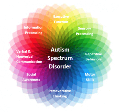 Further Development of a Potential Model of Autism Spectrum Disorders