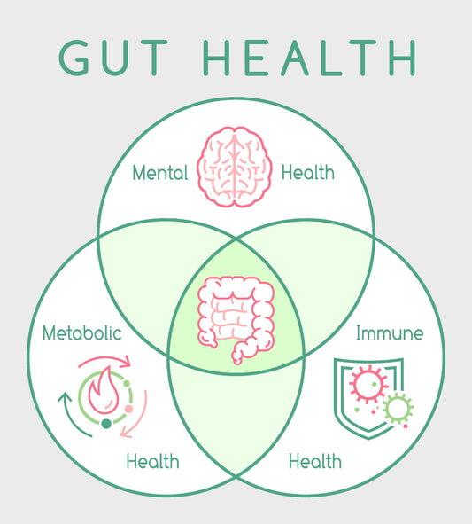 The Gut-Body Connection: How Natural Supplements May Benefit Gut Microbiome, Autoimmune Disorders, and Autism