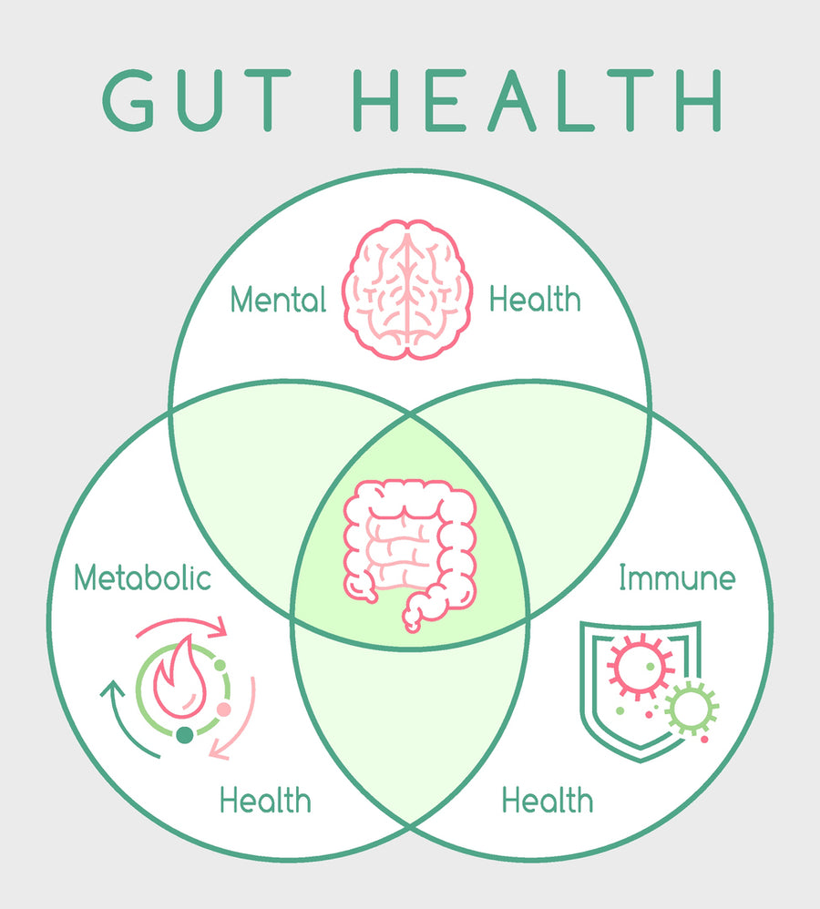 The Gut-Body Connection: How Natural Supplements May Benefit Gut Microbiome, Autoimmune Disorders, and Autism