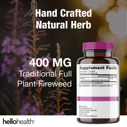 Willow Herb Fireweed