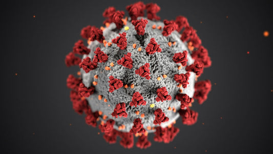 Bacterial Infections